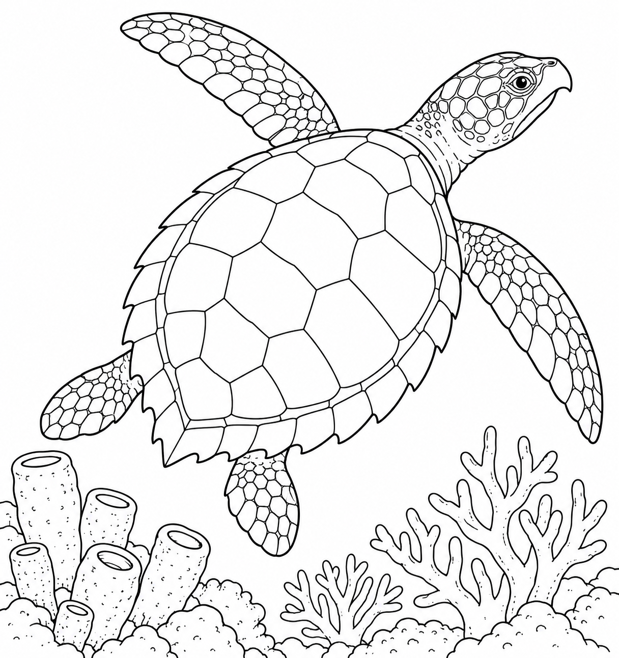 Outline drawing of a hawksbill sea turtle with its pointed beak, ready to colour in.